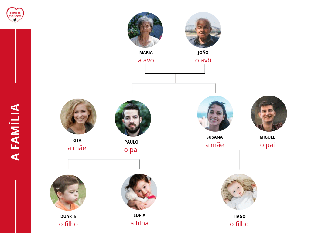 Le vocabulaire portugais de la famille - Arbre généalogique