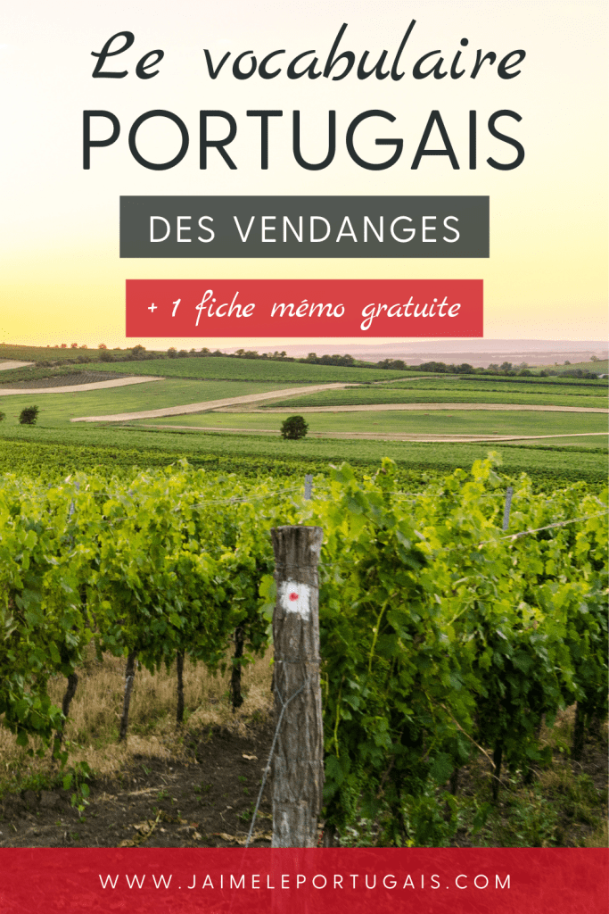 vocabulaire portugais des vendanges + 1 fiche de révision gratuite